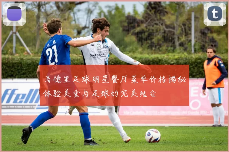 马德里足球明星餐厅菜单价格揭秘体验美食与足球的完美结合
