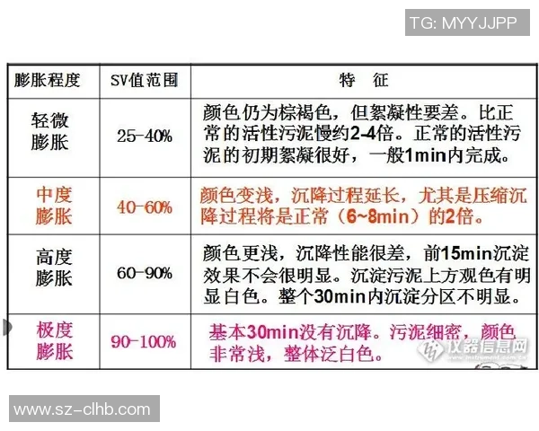 广州排球队在联合会杯中的比赛经验与表现分析 广州排球队在联合会杯中的比赛经验与表现分析