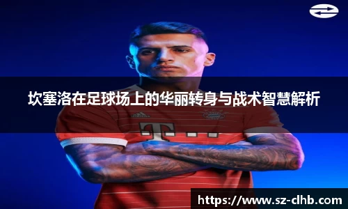 坎塞洛在足球场上的华丽转身与战术智慧解析